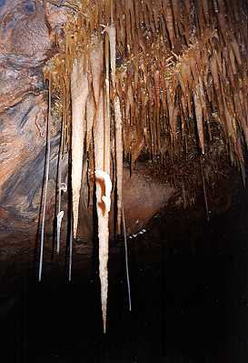Straws and stalictites[PSwart]